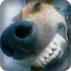 Profile icon