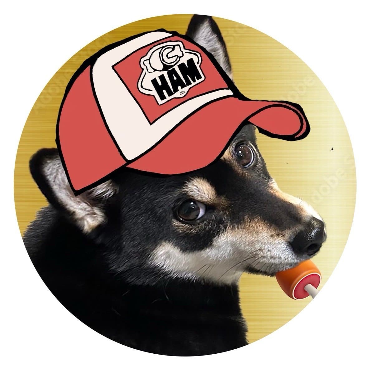 Profile icon